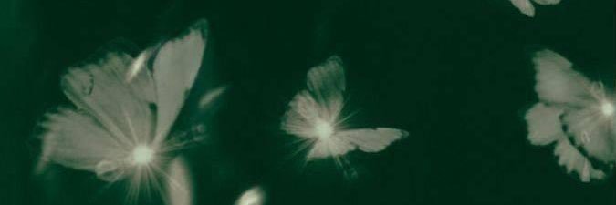 kit 𓍢ִ໋🌷͙֒ banner
