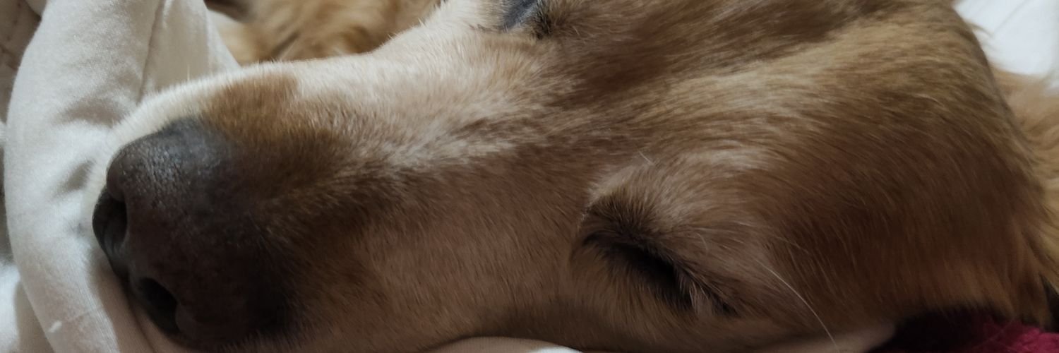 fedecastilloo's profile banner image