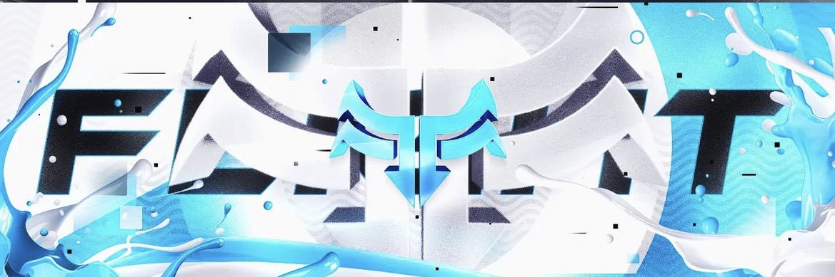 Team Flight banner
