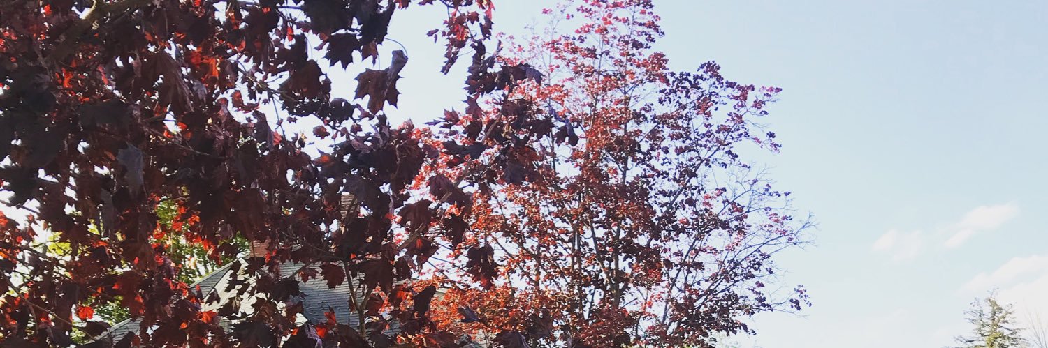 LanaDelKevin's profile banner image