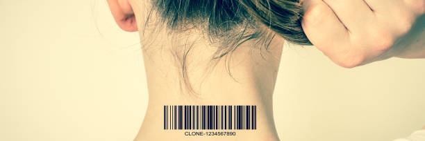 l0tka (potato/potato) banner