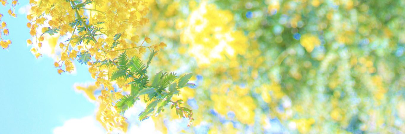 mmmreading's profile banner image