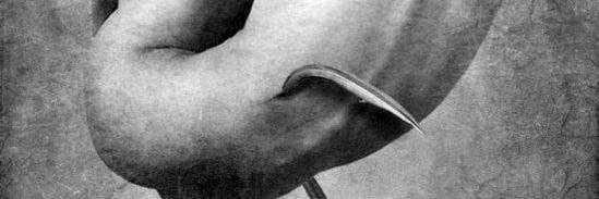 Andre_roman_o's profile banner image