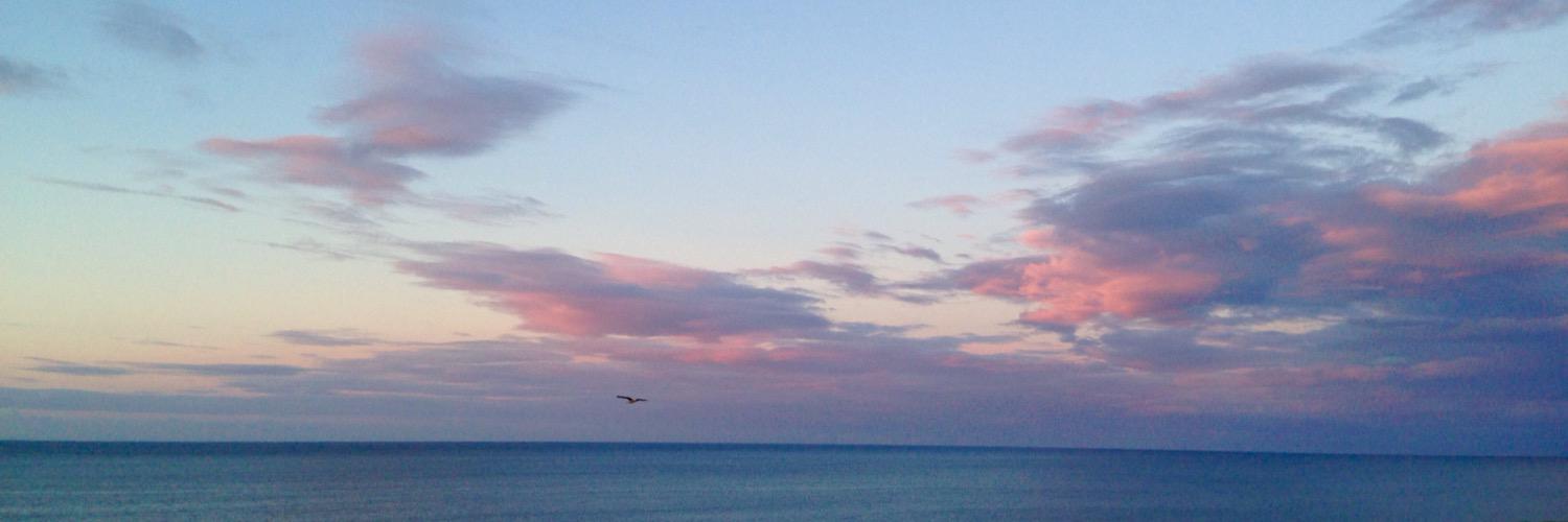 Noerodcar's profile banner image