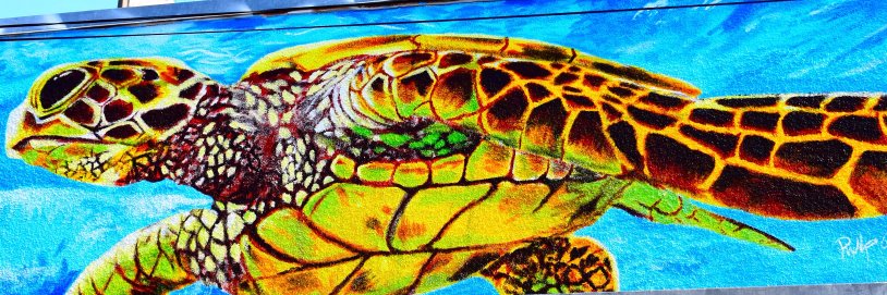 McSpazzter's profile banner image