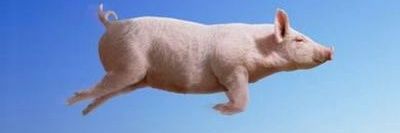 Jaswinky's profile banner image