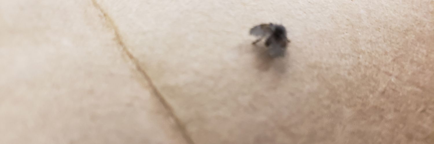 TooAberrant's profile banner image