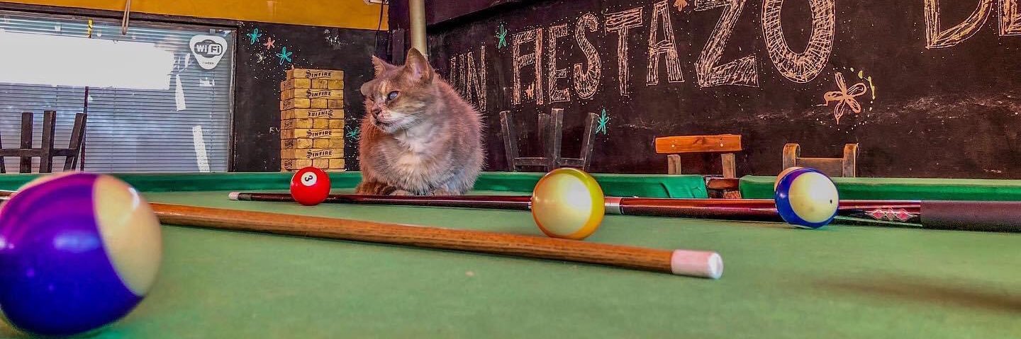 Rockero 🤘🏼 banner