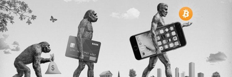 Xçrypto 🗿 banner