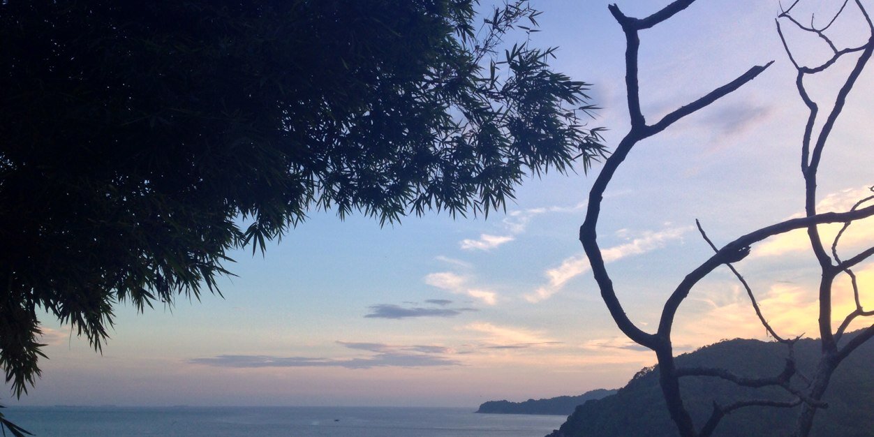 DominguesTay's profile banner image