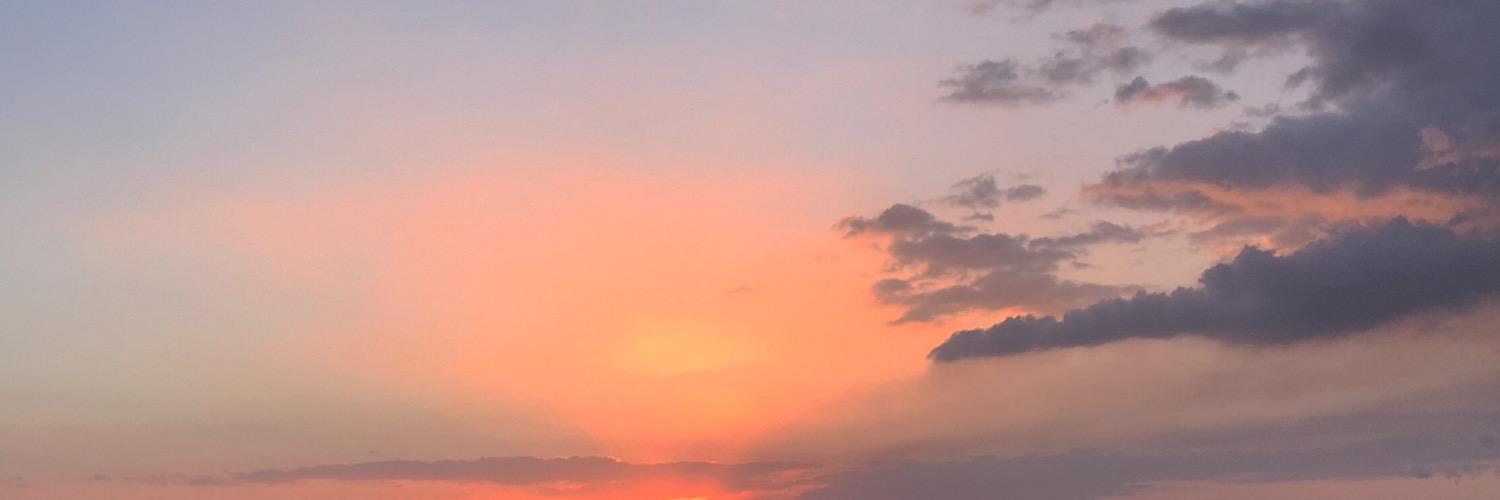 Jennifer Sims banner