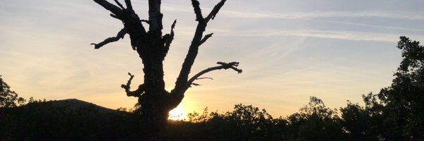 jujox Profile Banner
