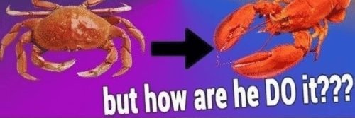 reacons's profile banner image
