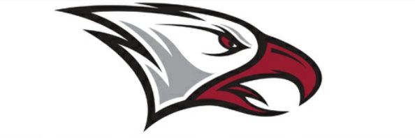 SB252's profile banner image