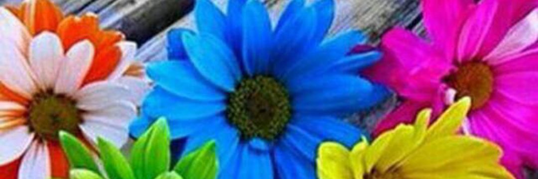 rmrom0654's profile banner image
