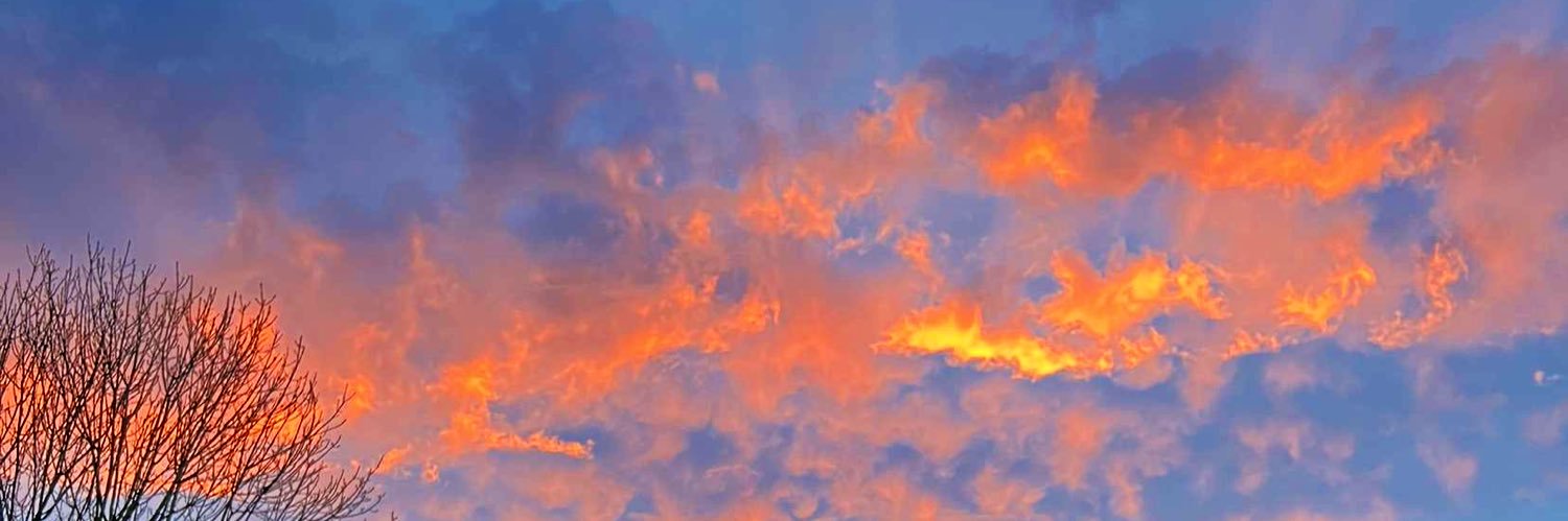 naomivigor's profile banner image