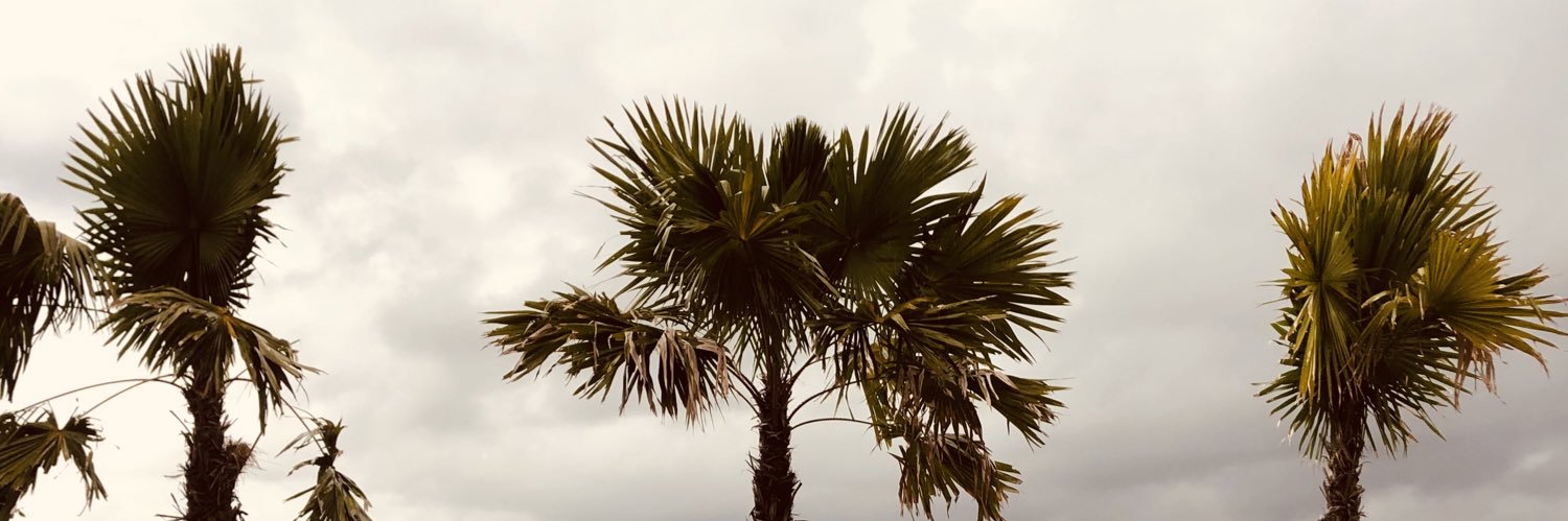 sundazee11's profile banner image