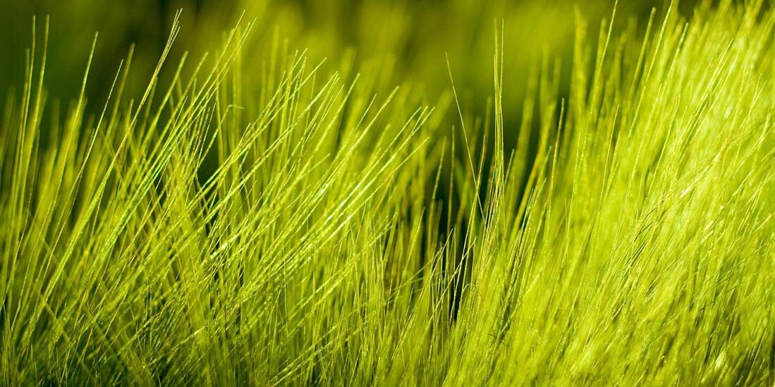 EcoConcern's profile banner image