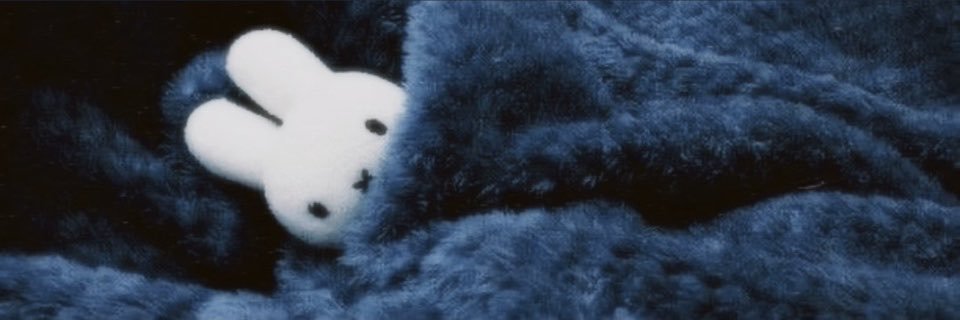 zbunys's profile banner image