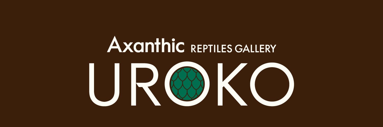 Repmaru_T's profile banner image