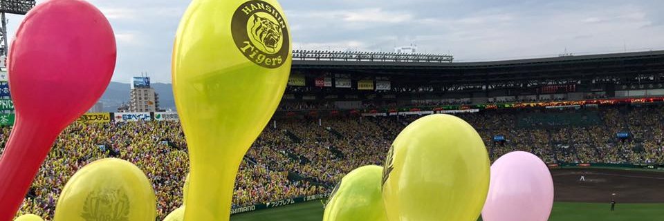 hmiya317's profile banner image