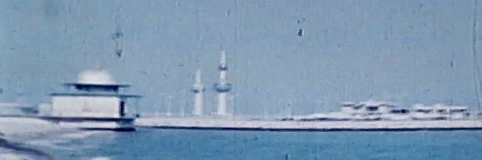 SharkQ8's profile banner image