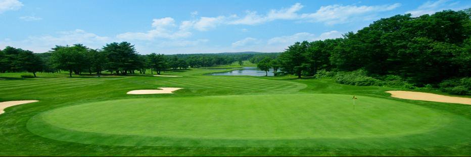 ToftreesGolf's profile banner image