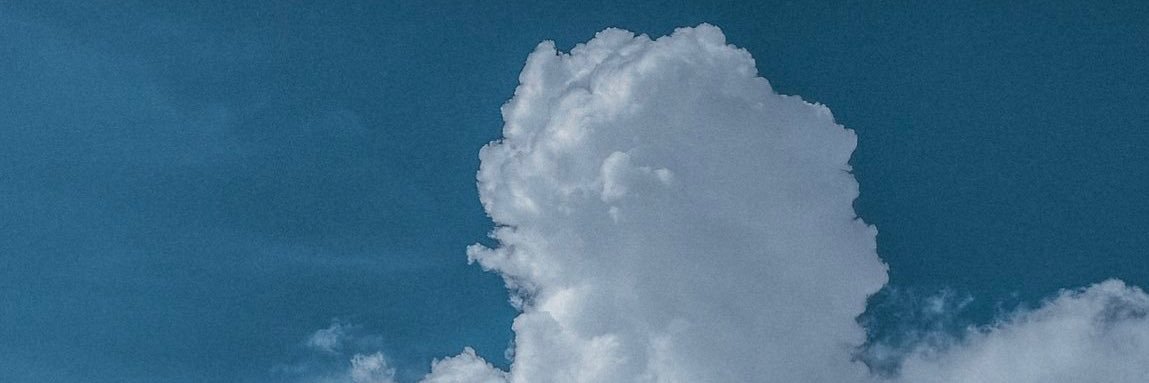 Anson's 复苏 banner