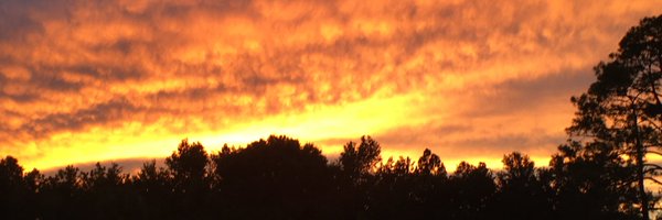 emilydavis4edu Profile Banner