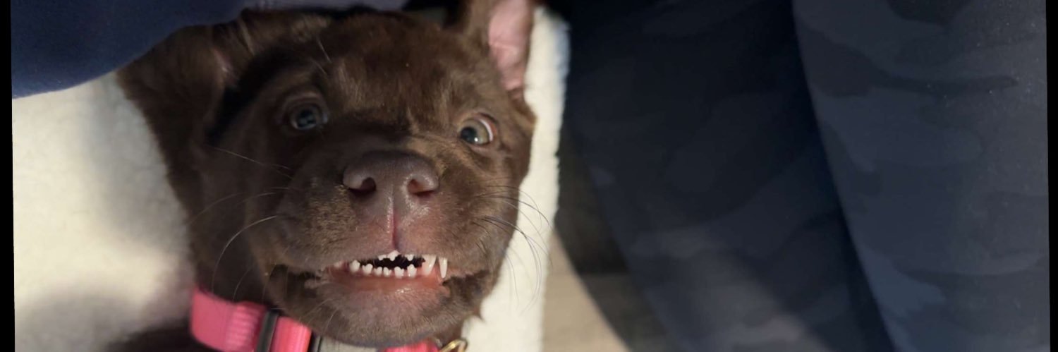 Dillon_Tones's profile banner image