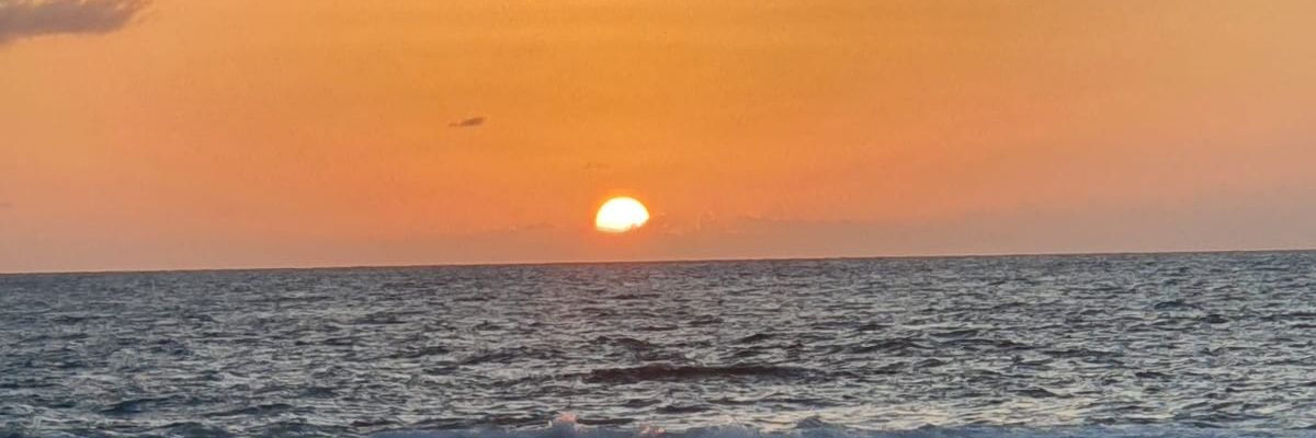 TammBrooks's profile banner image