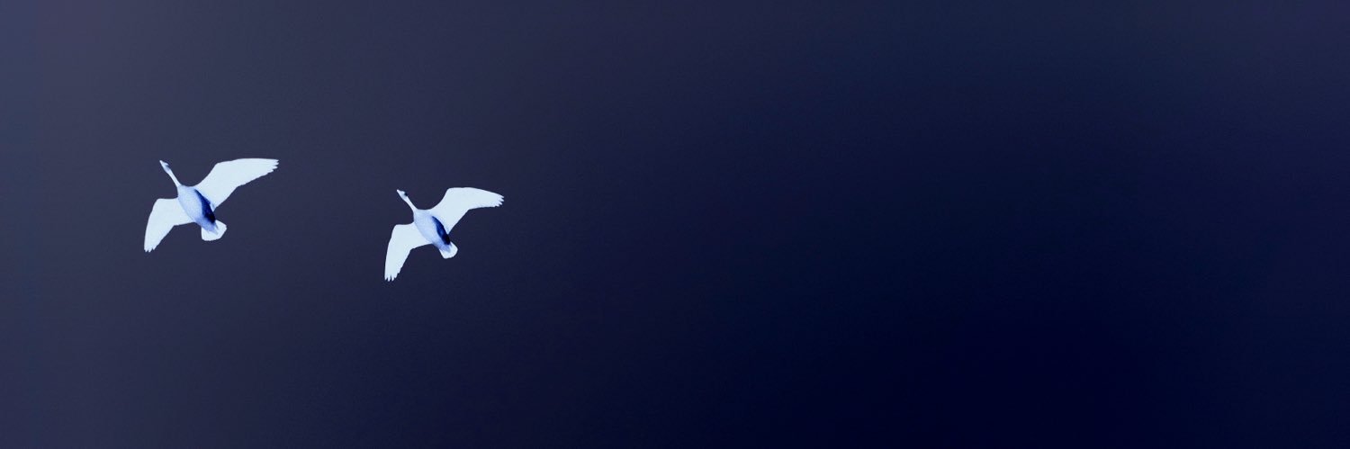 allpogsgo2heavn's profile banner image