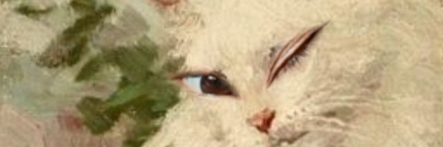 kittywittyfeet's profile banner image