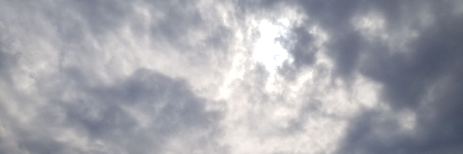 positivjunelbug's profile banner image