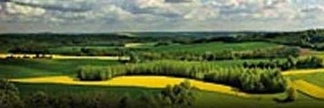 Landes_Actu's profile banner image
