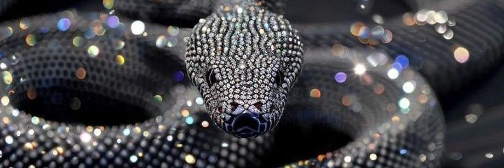 ❉𝑬𝒔𝒕𝒓𝒆𝒍𝒍𝒂❉ banner