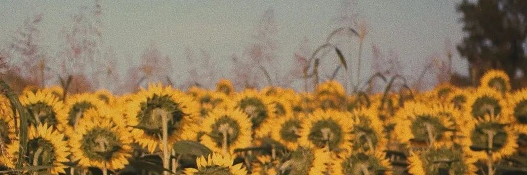 Dukmbhjmmmk banner