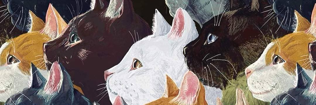queenscatt's profile banner image