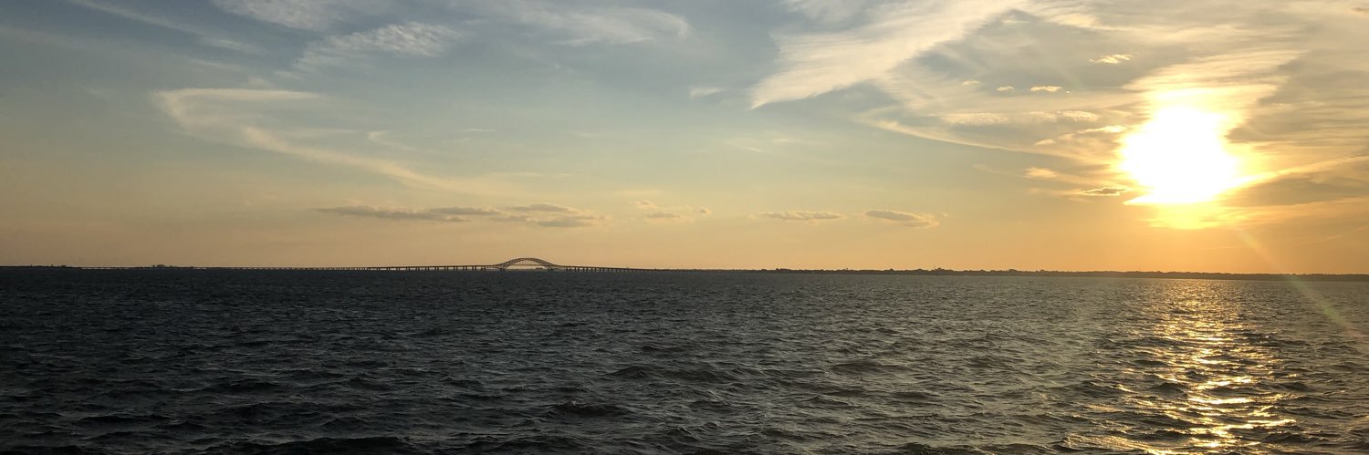 Amanda Fielder banner