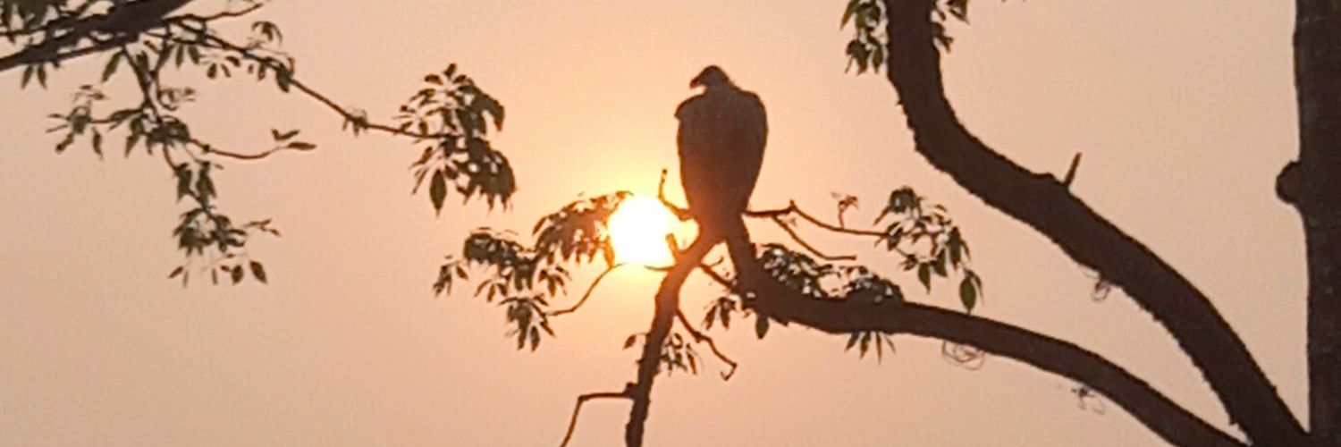 rohit acharya banner