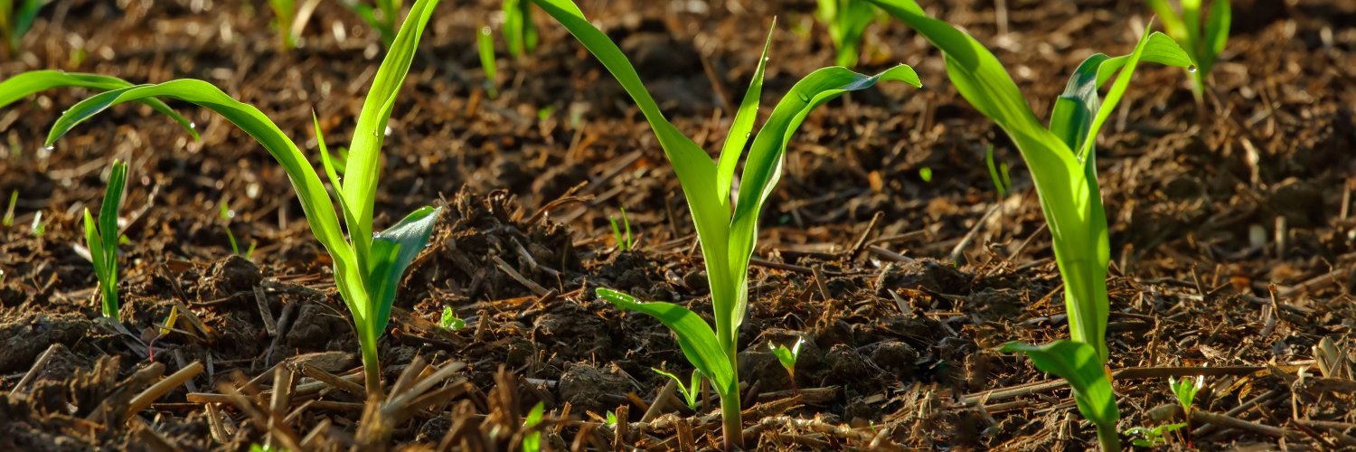 AgRiskSolutions's profile banner image