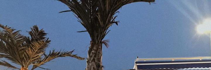 Glmserin's profile banner image