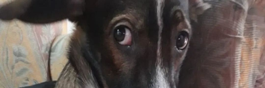 Mercede08817665's profile banner image