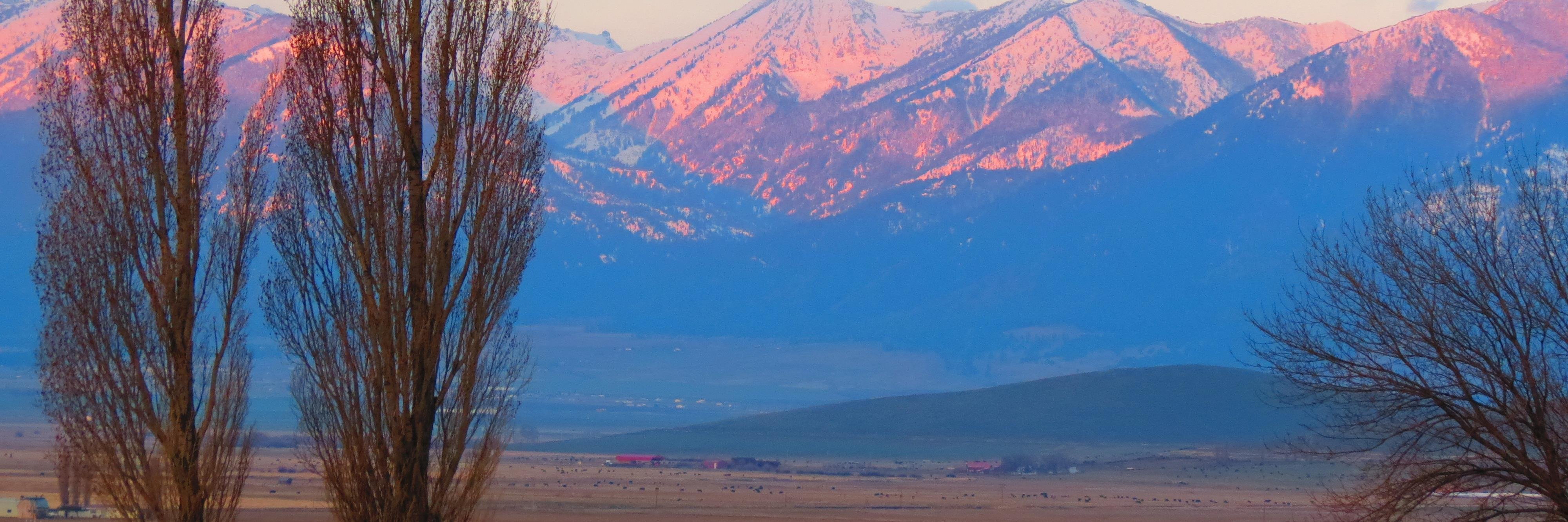 stodgo's profile banner image