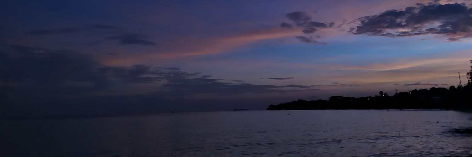 NasichalW's profile banner image