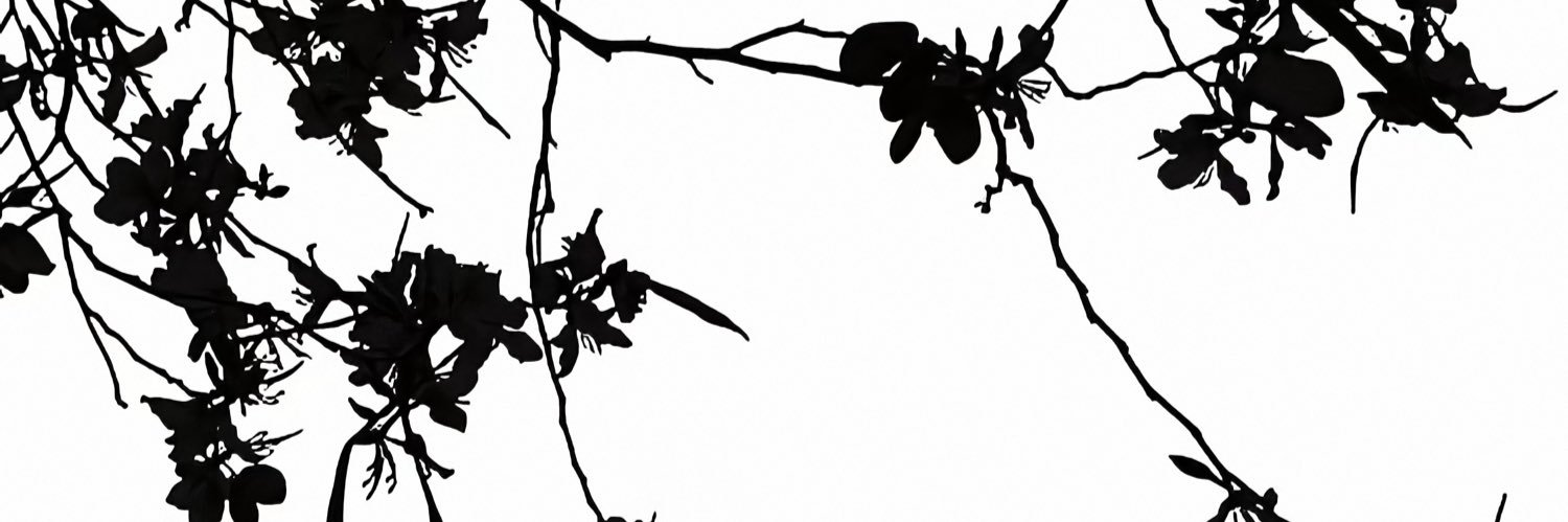 k1smark4's profile banner image