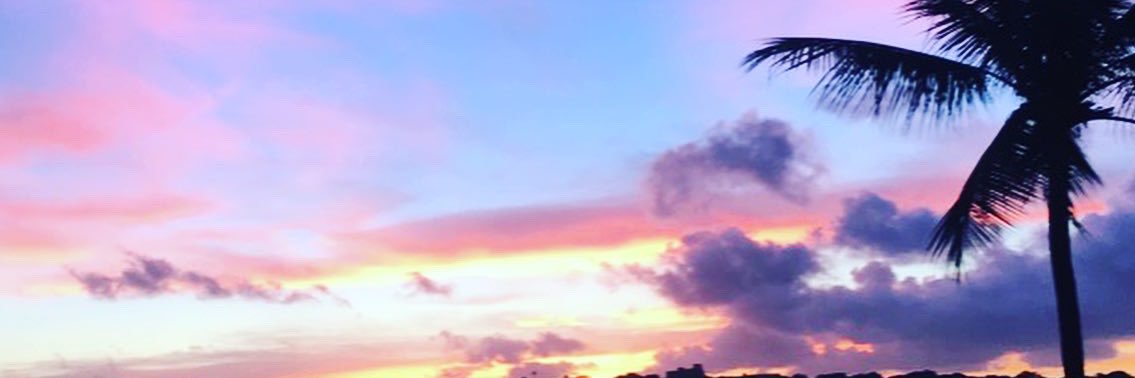 ChloeKnuth's profile banner image