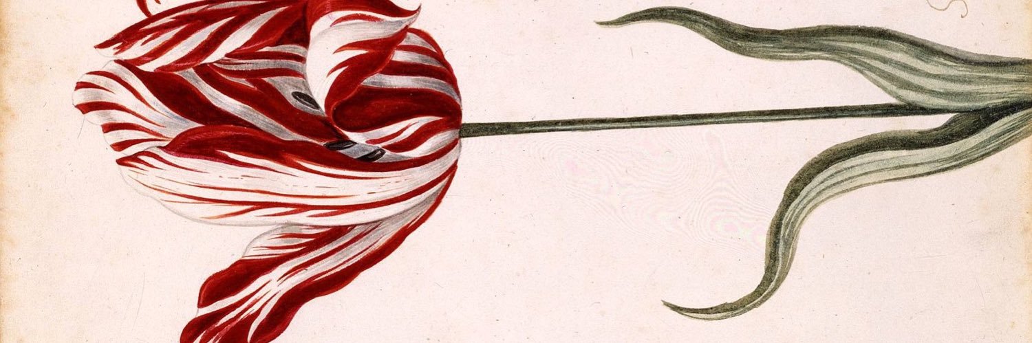 Semper Augustus banner