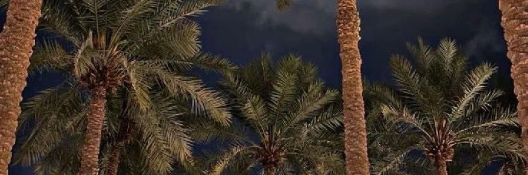 Al jawhara banner