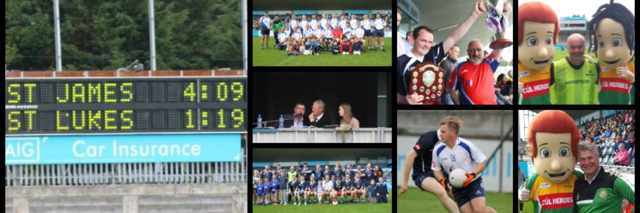 Prof Hollywood Cup banner